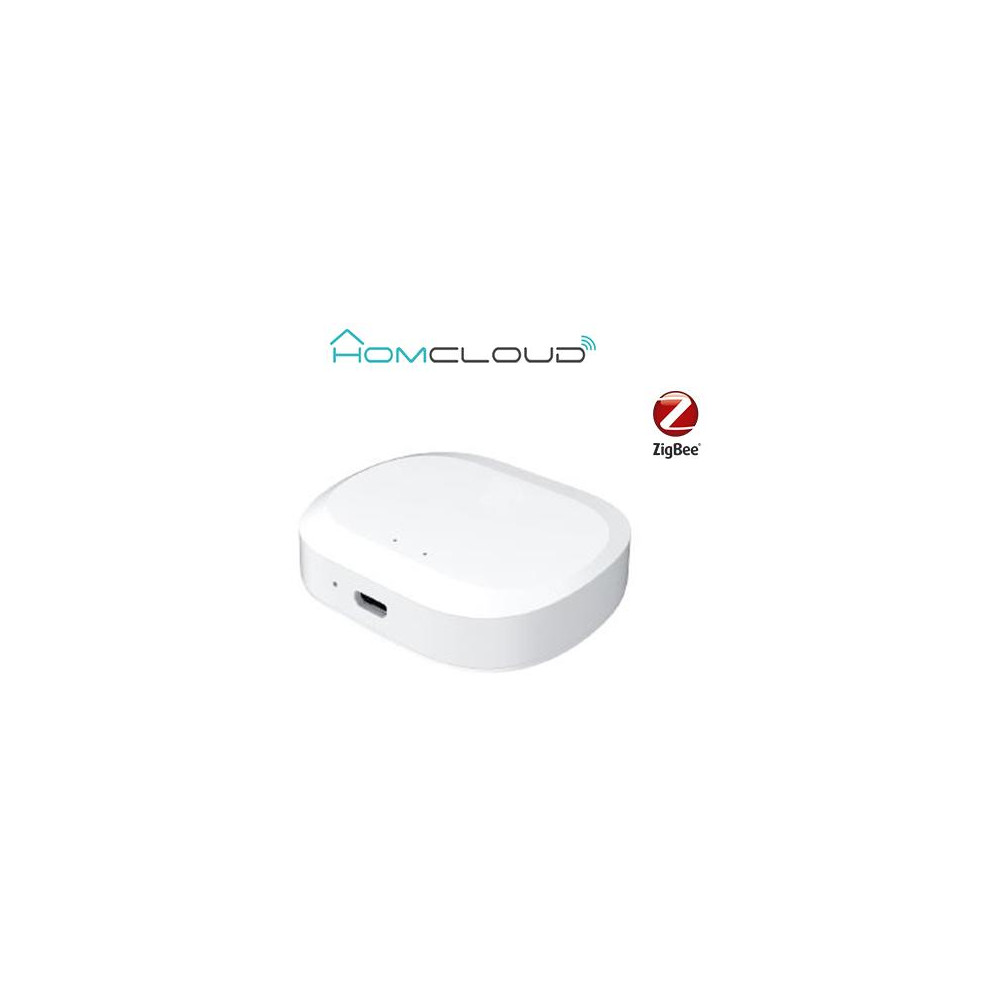 Centralina intelligente Hub - Zigbee+Bluetooth