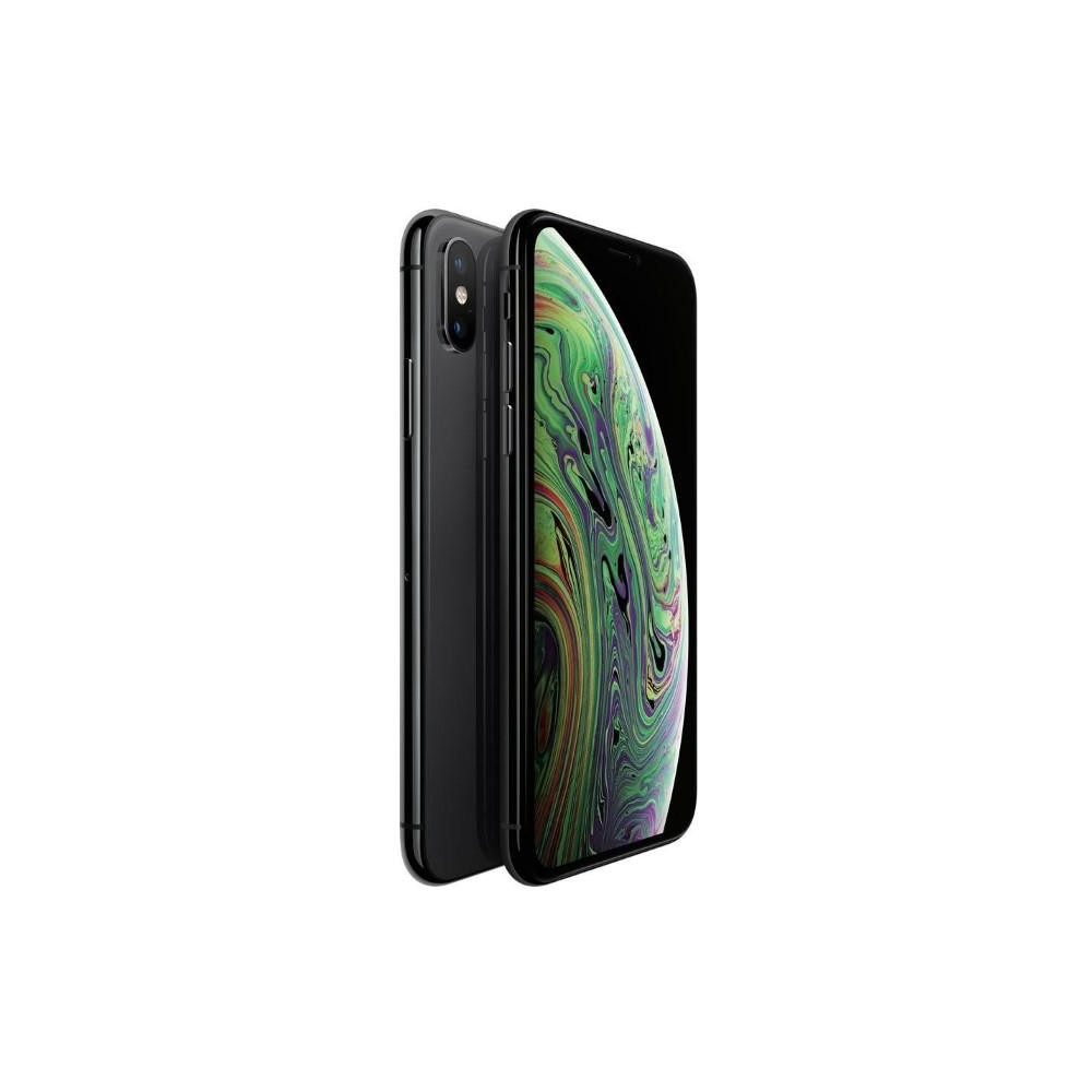 iPhone XS 64Gb Usato Grado A Garanzia 1 anno Grey